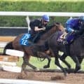 【日本ダービー・１週前】皐月賞馬ロブチェンが松山弘平騎手を背に上々の手応え　鞍上「反応も良かった」