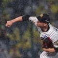 阪神　雨予報の甲子園で四回終了後に大雨　スタンドのファンはどよめき、通路へ避難する人も　中日が４点リードで五回へ突入