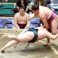 十両・尊富士が７勝目「勝ち越しは目標にしていない」　熱烈Ｇ党は戸郷翔征投手の復活１勝と７連勝を追い風にした