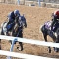 【日本ダービー・１週前】リアライズシリウスが早くも戦闘モード　手塚貴久調教師はレースが「今週でもいいくらい」と絶賛！