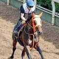 【日本ダービー・１週前】無傷３連勝中のコンジェスタスは坂路で京都新聞杯Ｖのダメージ感じさせず　高野調教師「ひと安心」