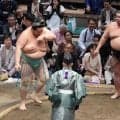 西前頭５枚目の正代、２日連続の結びの一番で“大関食い”「変な緊張感はなかった」