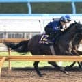 【日本ダービー・１週前】報知杯弥生賞馬バステールは徐々に良化　斉藤崇調教師「さらに良くなってくれたら」