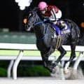 【大井・大井記念結果】サントノーレが6馬身差逃げ切りV！重賞5勝目を挙げる