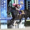 サントノーレが６馬身差で大井記念を圧勝　重賞５勝目　昨年のＪＢＣクラシック３着馬が復活Ｖ