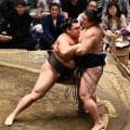 ２敗対決は霧島の完勝　優勝した前場所から状態の良さ変わっていない　３敗までの全員に優勝のチャンスはある　武蔵川親方が指摘