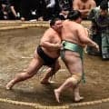 大相撲夏場所に激震、大関琴桜が休場で２横綱２大関が休場へ　朝乃山も休場