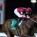 【凱旋門賞】フォーエバーヤングら日本馬7頭が登録…メイショウタバルなどもエントリー