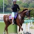 【日本ダービー】グリーンエナジーが軽い発熱で１週前追い切りを延期