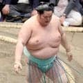 休場の大関・琴桜について師匠の佐渡ケ嶽親方が説明「腰に力が入らないと」…名古屋場所はカド番