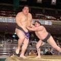 まげを落として再起力士　土俵下に転落で勝ち越しお預け、海真「大丈夫です」大相撲春場所