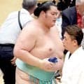 琴桜休場で２横綱２大関が不在　横綱・大関４人の休場は５年半ぶり