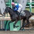 【平安S出走馬・騎手確定】ロードクロンヌ＆横山和生騎手、ナルカミ＆戸崎圭太騎手など16頭