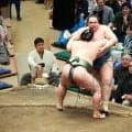 「目立つところにいるな」タレント勝俣州和、赤のハーフパンツ姿で観戦　東京場所はほぼ“常連”