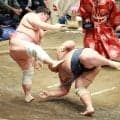 宇良が９勝目、藤凌駕との３敗同士の一番を制し優勝戦線に残る　大歓声に「ありがたいです」