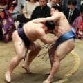 義ノ富士が２敗の翔猿を押し出し３敗死守　日大先輩への張り手に境川親方は「たいしたもの」