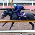 【日本ダービー・１週前】セレクト６億円馬エムズビギンがゴンサルベス騎手と初コンタクト　「恩返ししたい」