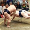 小結若隆景　落ち着いた相撲で豪ノ山を下し３敗対決制す　境川親方「若隆景が経験で勝っていた」