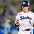 【ヤクルト】丸山和郁が３回表の守備から交代　今季は打率３割５分８厘、１日にサイクル安打