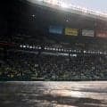【阪神】雨でも試合決行願うファンの気持ち代弁　球場に流れた「センスよすぎ」なミスチルの名曲