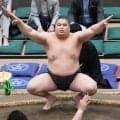 夏場所13日目に旭富士－三田、天昇山－木竜皇　三段目は全勝４人が優勝を争う