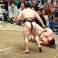 新関脇の琴勝峰は５敗目…大関霧島に敗れる「勝ち急いでしまった」３場所連続勝ち越しへ足踏み