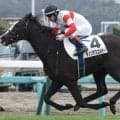 セレクト4億円の超良血 ダノンアスコルティが三度目の正直で初勝利なるか