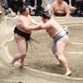 新関脇・琴勝峰が勝ち越し 8勝5敗
