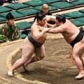 ４６歳の元関取が立ち合いの新スタイルを模索中　大雷童「相撲は難しい」大相撲名古屋場所