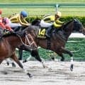 平安Sは4歳馬が優勢か ダート中距離戦線を占う重要な一戦