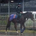 土曜京都競馬場の注目激走馬…京都１１Ｒ・平安ステークス・Ｇ３