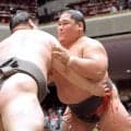 西幕下１９枚目・旭水野が七番相撲で勝ち越し「久しぶりに緊張した」…来場所の幕下１５枚目以内昇進が有力