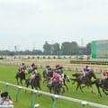 【はやぶさ賞結果】カレンデュラが人気に応えて2連勝