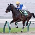 【平安Ｓ】ロードクロンヌが直線抜けだし圧勝！重賞２勝目　目標の帝王賞に弾み