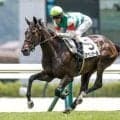 【オークス予想】桜花賞組は前走の着順に注意!? 現状の実力以上の人気が予想される軽視すべき一頭とは