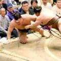 霧島が３敗に後退し、若隆景と首位で並ぶ　伯乃富士に敗れ、千秋楽に２場所連続優勝をかける