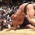 大相撲夏場所が記録的混戦！史上最多６人による幕内優勝決定戦も