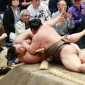 大混戦！夏場所は１差に７人がひしめいて千秋楽へ、最大で６人の優勝決定戦も