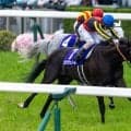 クロワデュノールvsメイショウタバル、宝塚記念ファン投票トップ争い激化