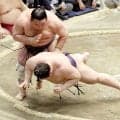 藤凌駕が４敗死守　相手の義ノ富士は１学年上の学生横綱で「スーパースターだった。大相撲の世界で対戦できてよかった」