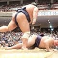 義ノ富士、痛恨の４敗目　１０連勝を逃し「急いでしまった」　千秋楽に優勝の可能性は残る