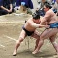 優勝の可能性は、異例の7人　若隆景が首位に並び、大関昇進の起点も