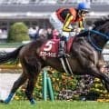 霜降り明星・粗品はラフターラインズを信頼 オークスは3連単で勝負だ