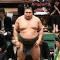 “史上最強の新弟子”旭富士デビュー無敗で三段目Ｖ「うれしいです」目標は「内緒」一瞬ひやりも豪快小手投げ決めた