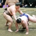 八角理事長 伯乃富士の立ち合いに苦言