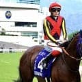 【香港競馬】ローシャムパークは6着敗退…ボウマン「追ってから案外…」