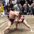 若隆景が宣言「大関を目指して頑張る」史上３番目ブランクＶで再挑戦へ「来場所以降が大事」