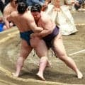 琴栄峰３連敗、兄琴勝峰に続く兄弟Ｖお預け「また来場所頑張ります」３度繰り返す