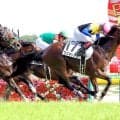 【ダービー記録】３連単最高配当２８５万円超　１６番人気コズミックフォース３着の１８年　馬単最高はウオッカＶの０７年