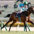【目黒記念見どころ】東京コース大得意のウィクトルウェルスが躍進する